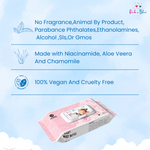 PINK N BLUE | PB-02 | Baby Wet Wipes | Gentle Care | Endless Smiles | Gentle Care and Convenience | 72 Wipes/Pack |