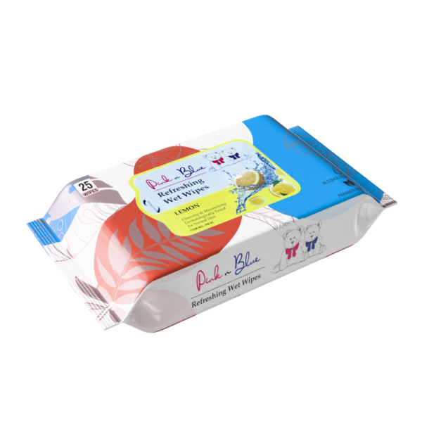 Refreshing Wet Wipes | 25 Wipes/Pack